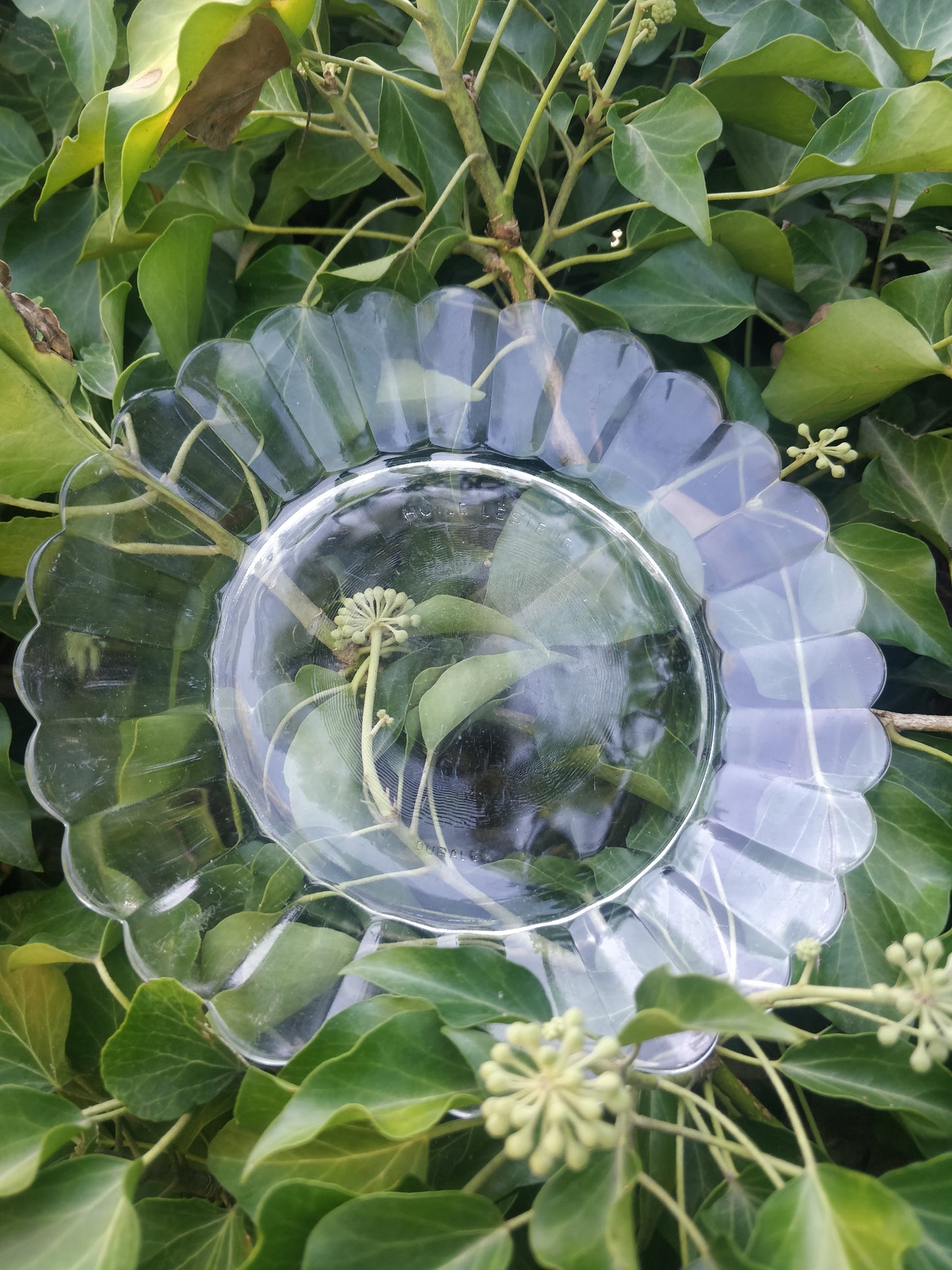 Assiettes fleurs de tournesol ou marguerite vintage Duralex