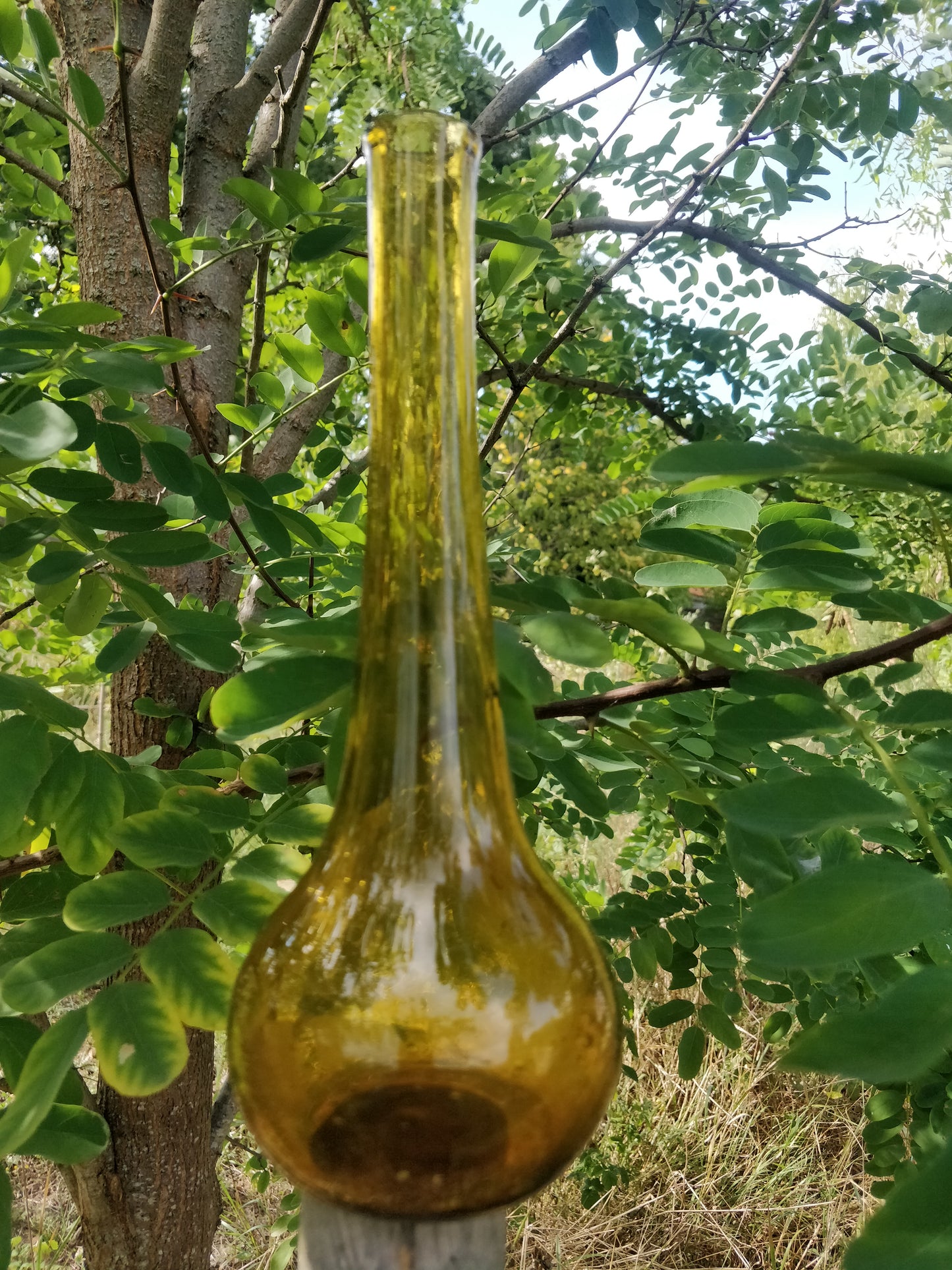 Soliflore verre bullé