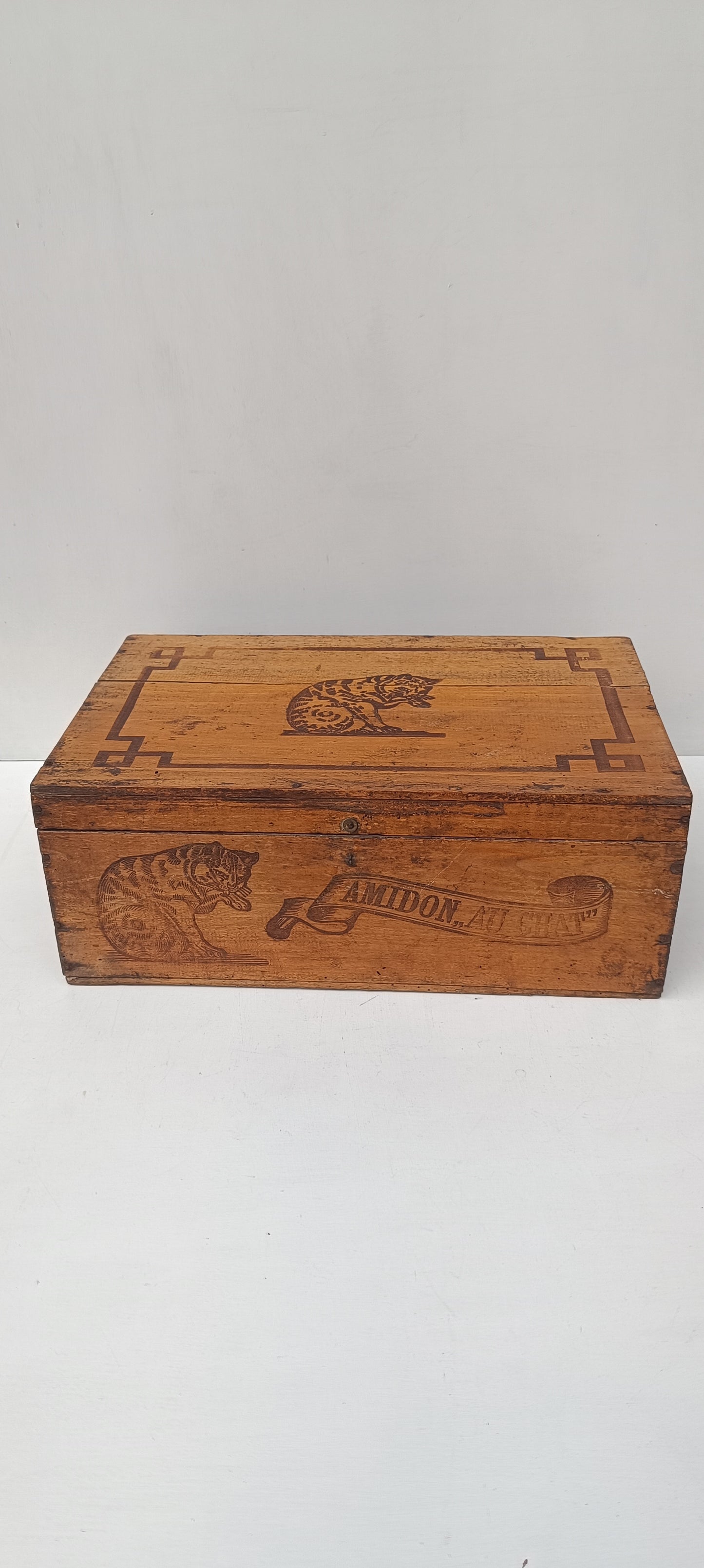 Ancienne boîte AMIDON LE CHAT.