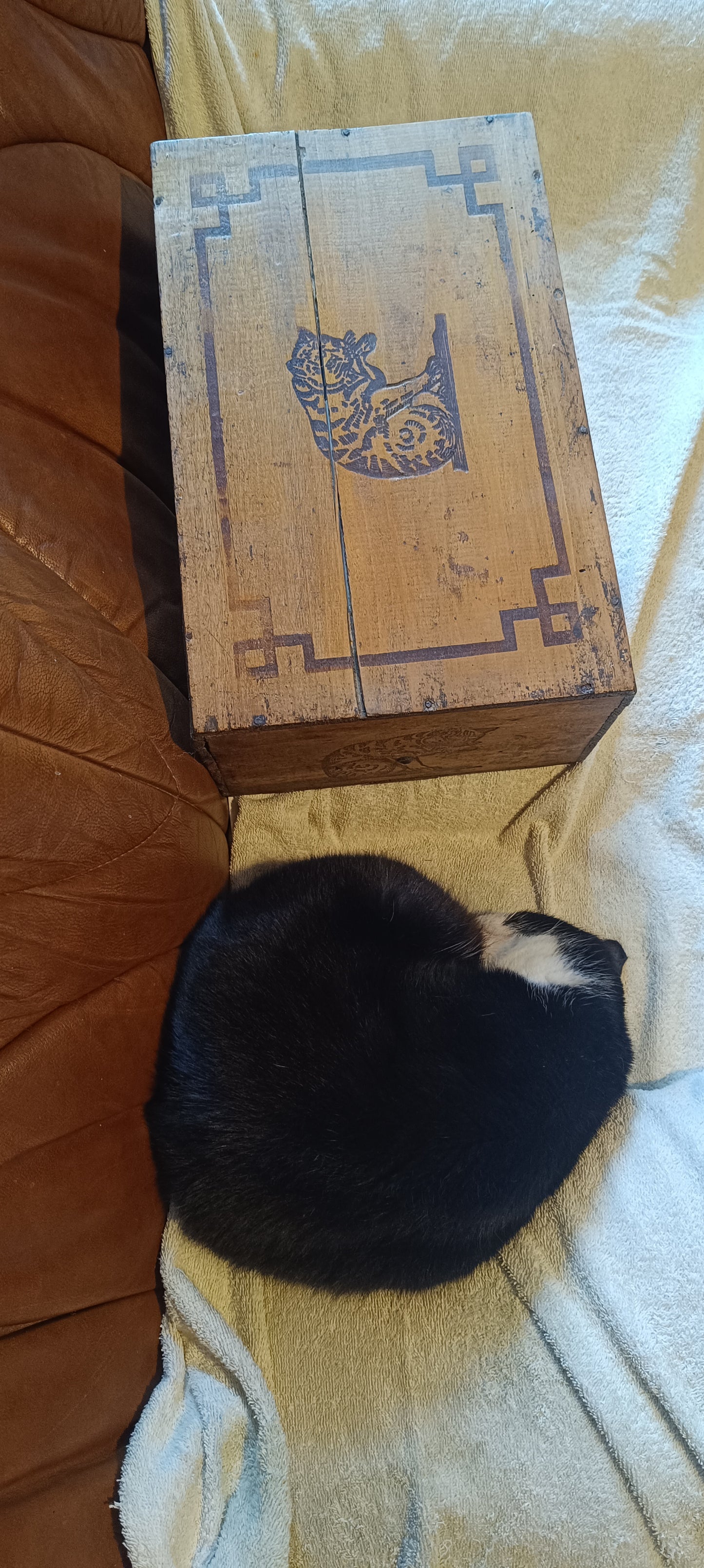 Ancienne boîte AMIDON LE CHAT.