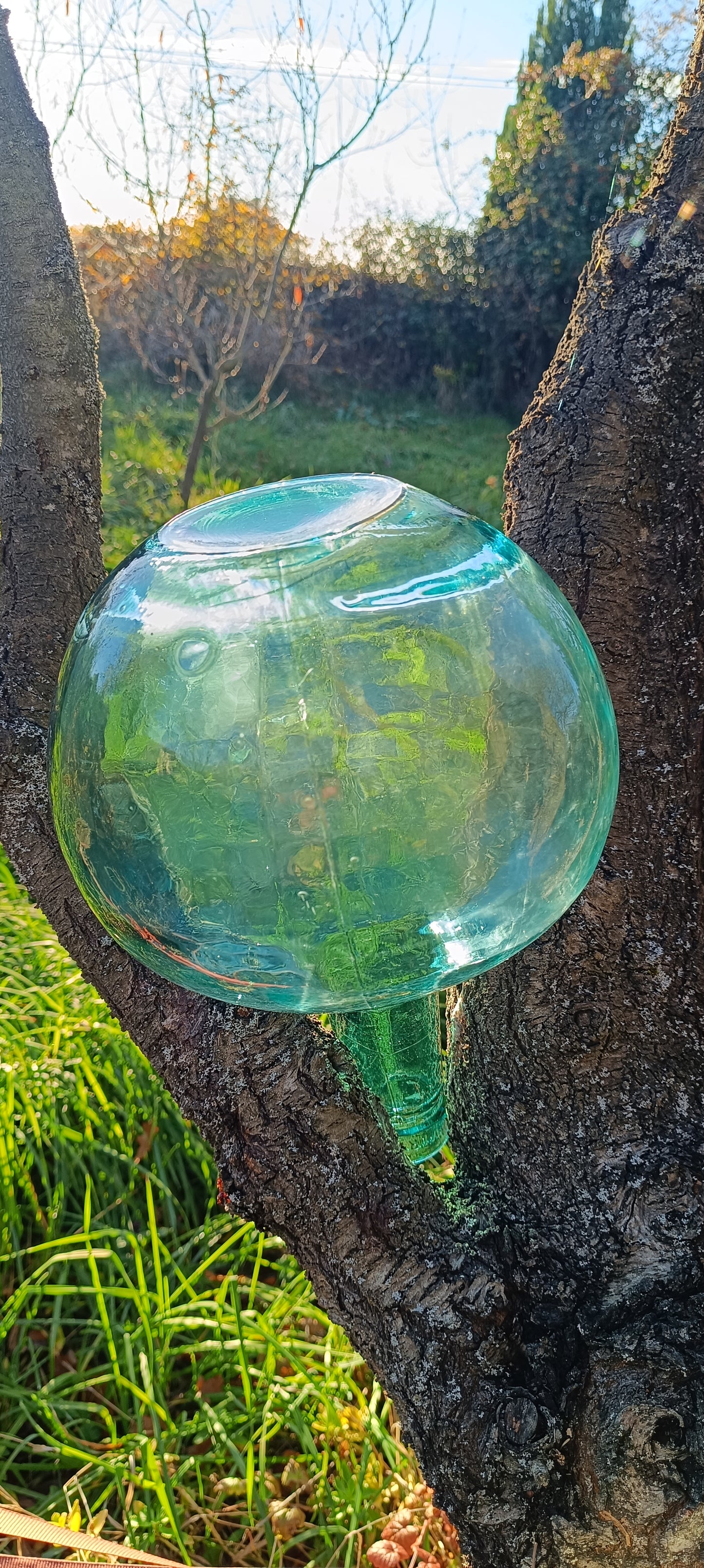 Vase Dame-Jeanne, bonbonne en verre avec des reflets vert bleutés.