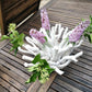 Pic fleurs bois tordus