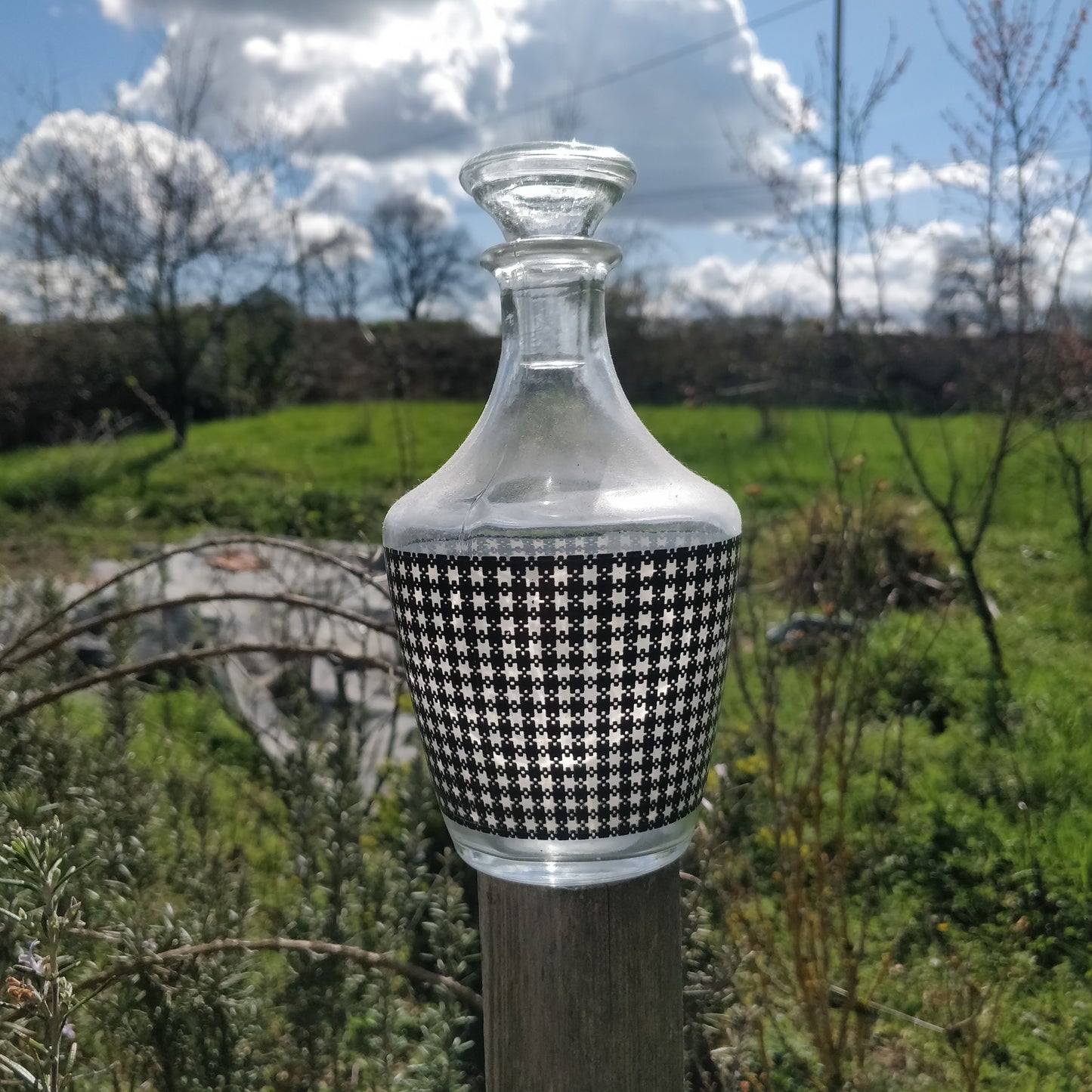 carafe pied de poule
